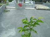 Vật Liệu Xây Dựng Viết Mai