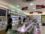 THE FACE SHOP