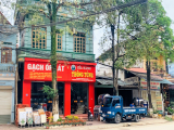 Cửa Hàng Thông Tùng