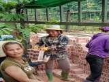 Cửa Hàng VLXD Trang Thiêm