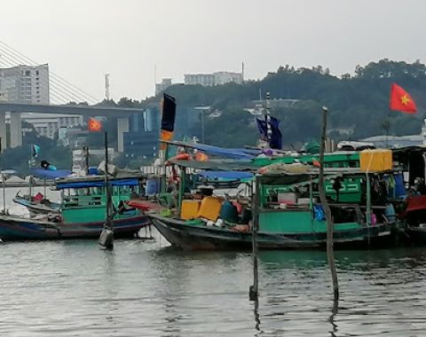 Nhà Phân Phối Bia Hoàng Long