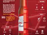 Bia Budweiser Hà Nội