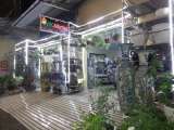 Cửa Hàng Gạch Men - Thiết Bị Vệ Sinh Dũng Thịnh