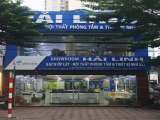 Gạch Viglacera Hải Linh