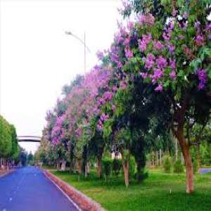 đại lý, sữa, thực phẩm chức năng, mỹ phẩm