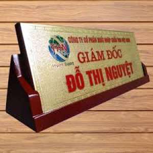 Dược phẩm Y tế