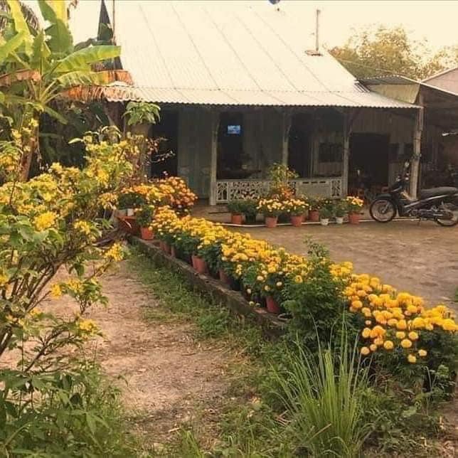 dầu gội,dầu xả,kem,son